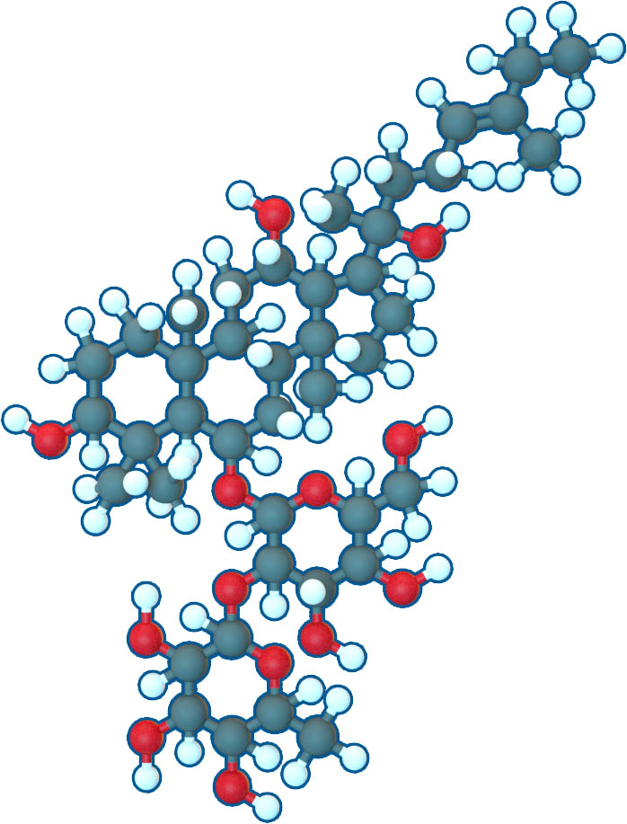 Image of Ginsenoside Rg2 | C42H72O13 | Supreme Pharmatech